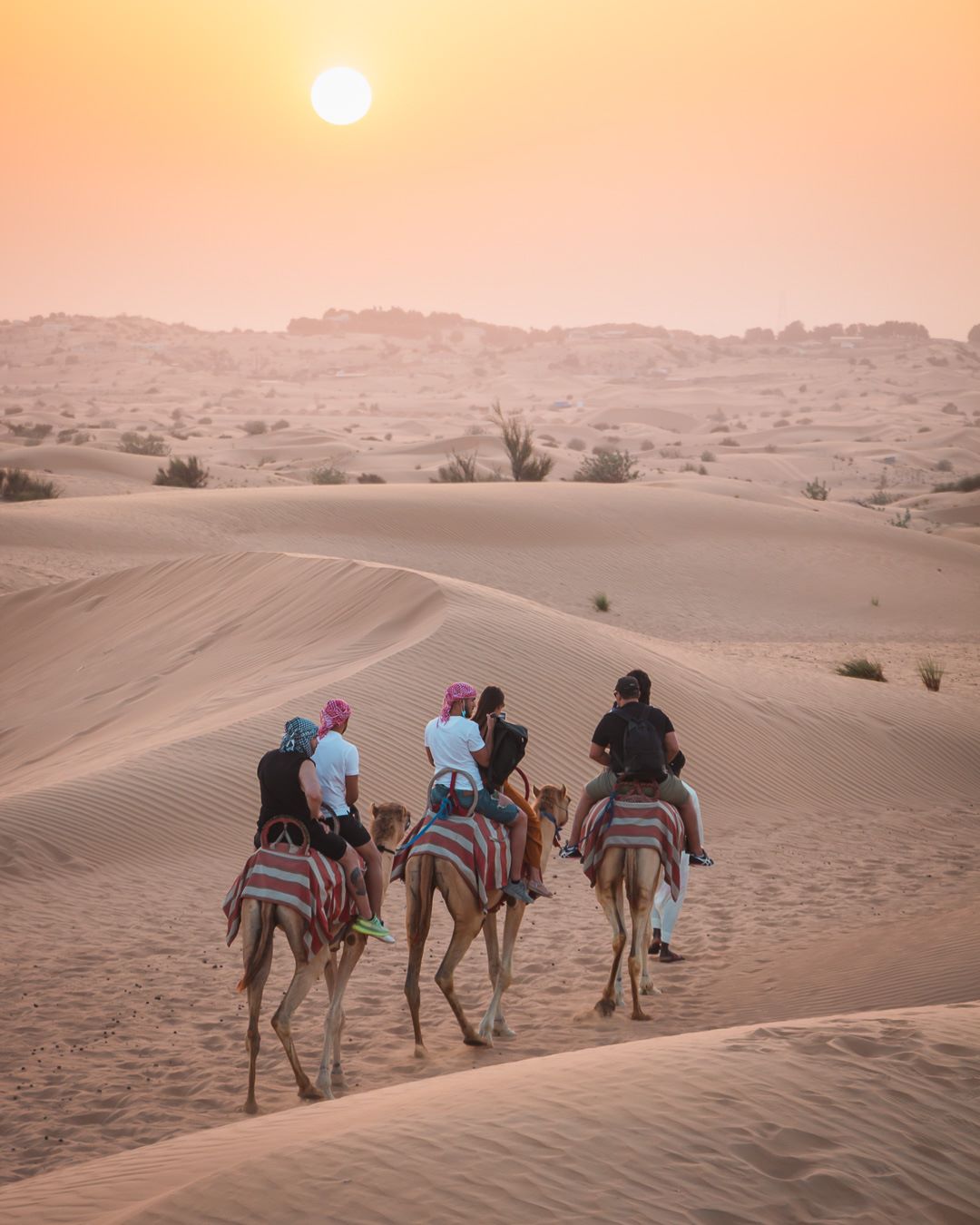 Dubai Wüstensafari 12 Tipps zur besten Tour in den VAE